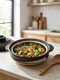 Pot argile japonais KOVA - healthy-cooking